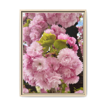 Pink Cherry Blossoms Framed Canvas Print — Japanese Spring Floral Wall Art
