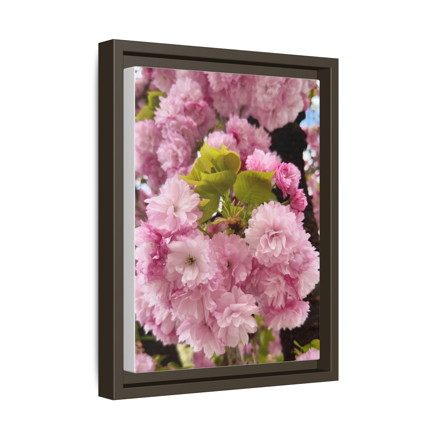 Pink Cherry Blossoms Framed Canvas Print — Japanese Spring Floral Wall Art