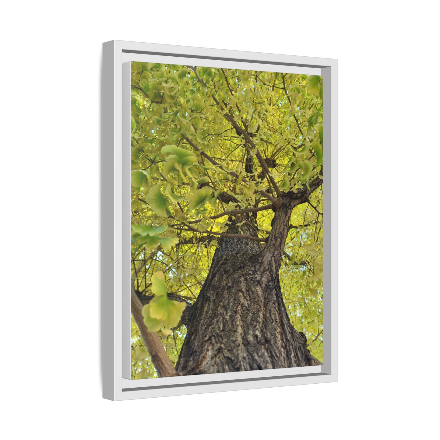 Sunlit Green Tree Canopy Framed Canvas Print — Botanical Nature Wall Art