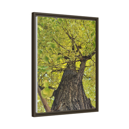 Sunlit Green Tree Canopy Framed Canvas Print — Botanical Nature Wall Art