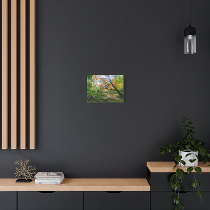 Nanzen-ji Moss Garden Autumn Canvas — Kyoto Maple Forest Zen Wall Art, Japan